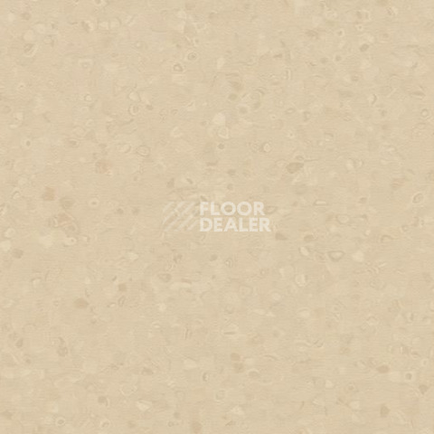 Линолеум Forbo Sphera Element 50023 sand фото 1 | FLOORDEALER